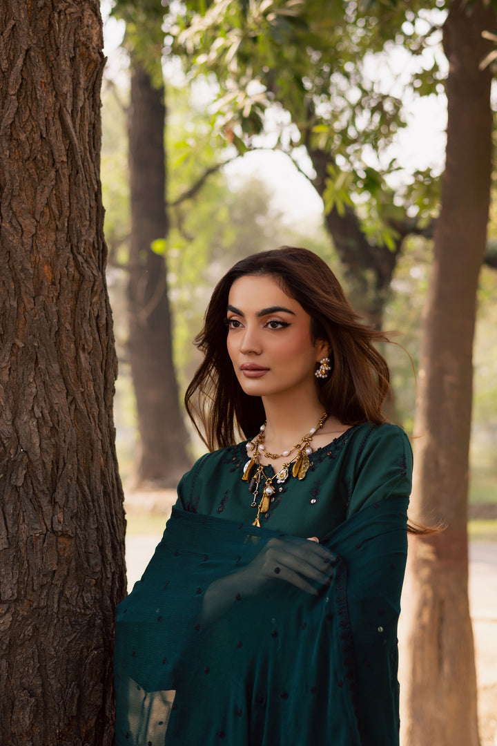  Sabz Meeraki 3Pc - Embroidered Khaddar Dress BATIK WINTER PRET 2025  BATIK   XS / Ocean Green / Khaddar-S / Ocean Green / Khaddar-M / Ocean Green / Khaddar-L / Ocean Green / Khaddar-XL / Ocean Green / Khaddar