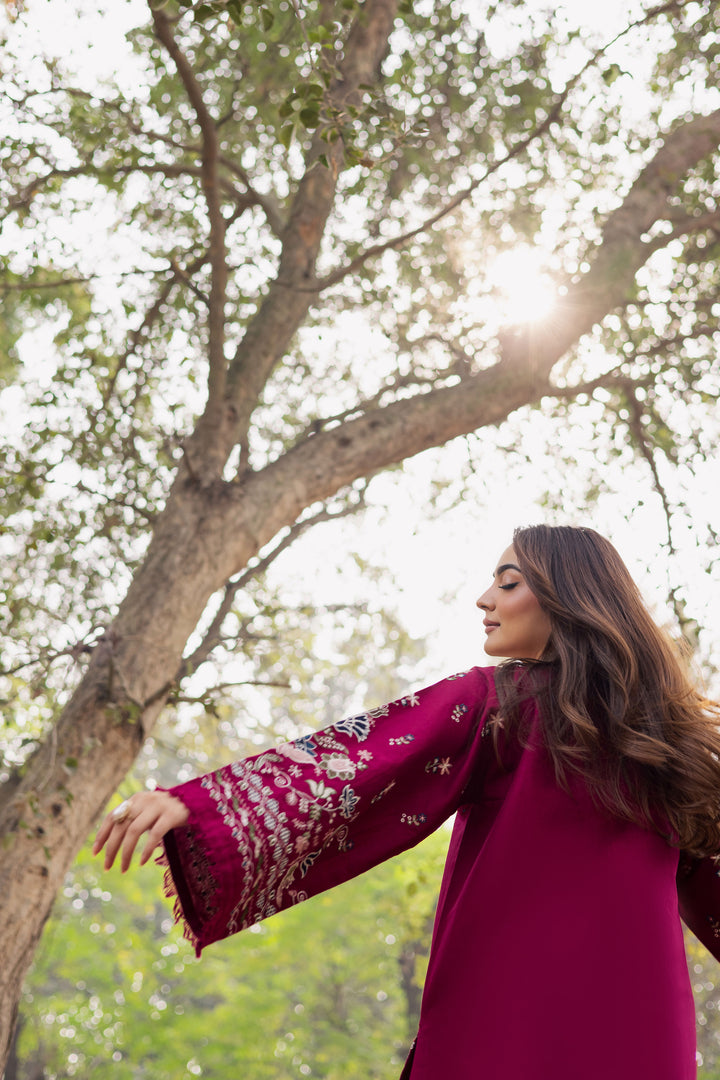 Sahara 2Pc - Embroidered Khaddar Dress