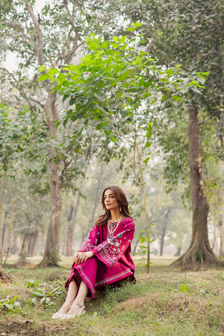 Sahara 2Pc - Embroidered Khaddar Dress