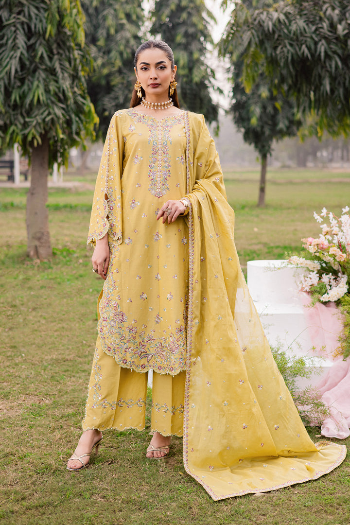  Salwah 3Pc - Festive Embroidered Lawn BATIKEID2026  BATIK   XS / Lime Green / Pima Lawn-S / Lime Green / Pima Lawn-M / Lime Green / Pima Lawn-L / Lime Green / Pima Lawn-XL / Lime Green / Pima Lawn
