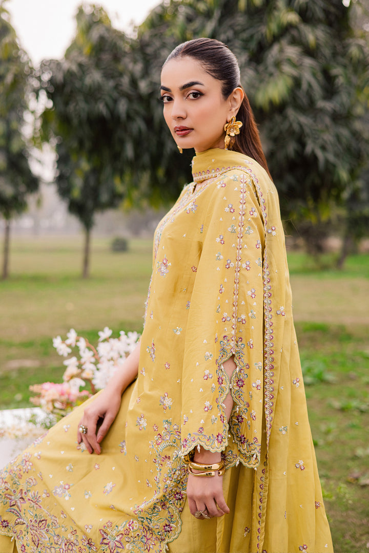  Salwah 3Pc - Festive Embroidered Lawn BATIKEID2026  BATIK   XS / Lime Green / Pima Lawn-S / Lime Green / Pima Lawn-M / Lime Green / Pima Lawn-L / Lime Green / Pima Lawn-XL / Lime Green / Pima Lawn
