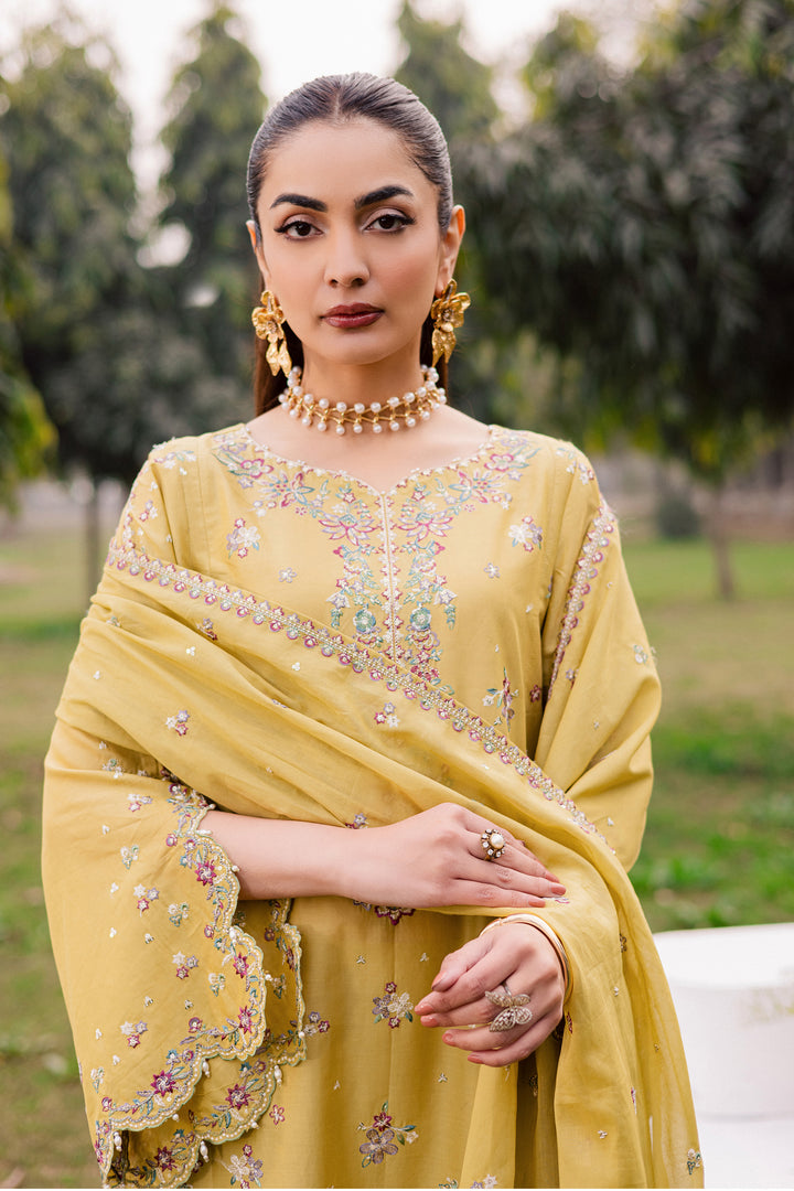  Salwah 3Pc - Festive Embroidered Lawn BATIKEID2026  BATIK   XS / Lime Green / Pima Lawn-S / Lime Green / Pima Lawn-M / Lime Green / Pima Lawn-L / Lime Green / Pima Lawn-XL / Lime Green / Pima Lawn