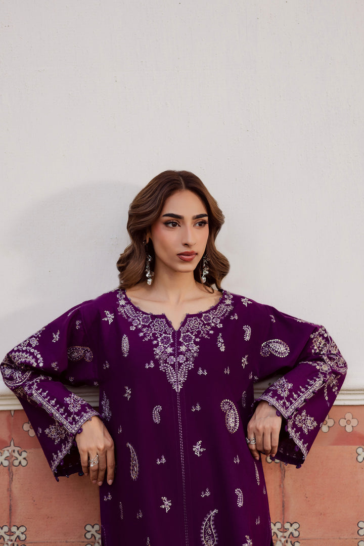 Fave 2Pc - Embroidered Khaddar Dress