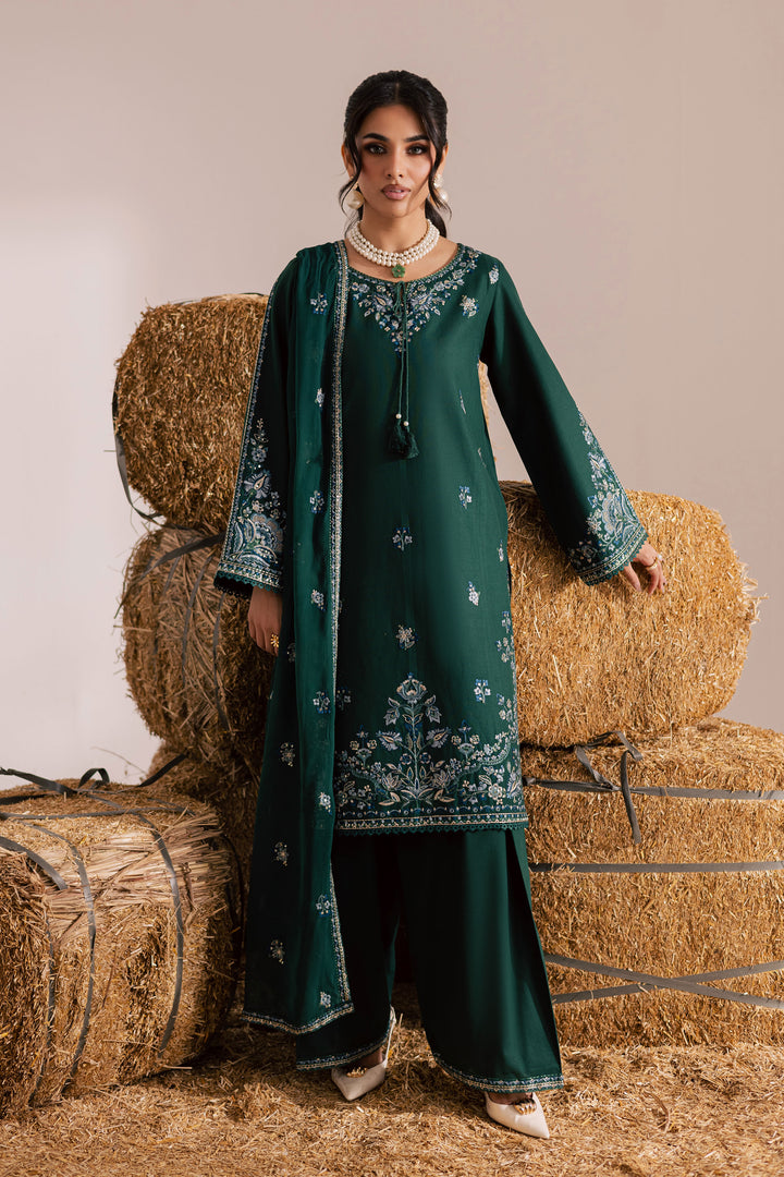 Nuriya 3Pc - Embroidered Khaddar Dress