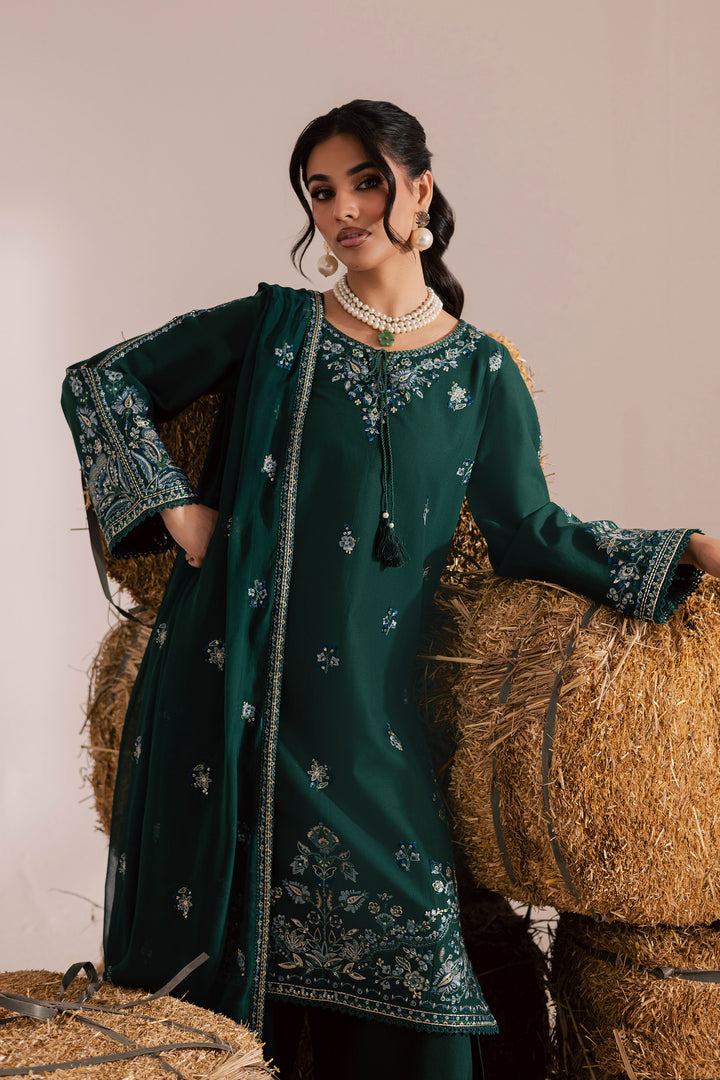 Nuriya 3Pc - Embroidered Khaddar Dress