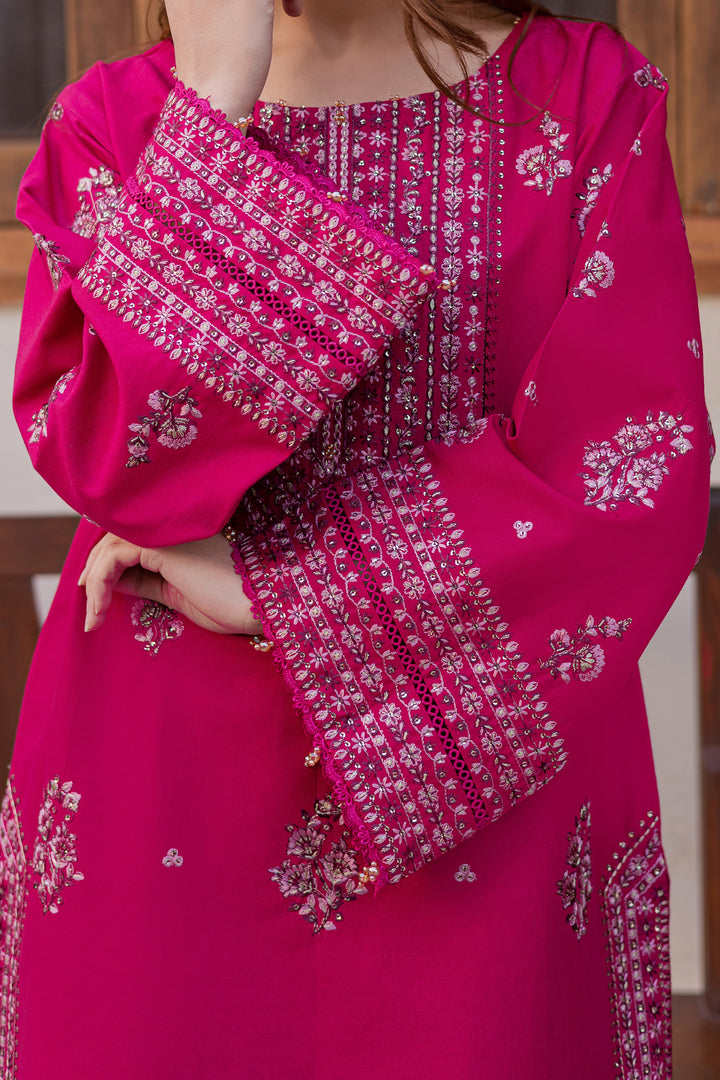 Jahan ara 2Pc - Embroidered Khaddar Dress