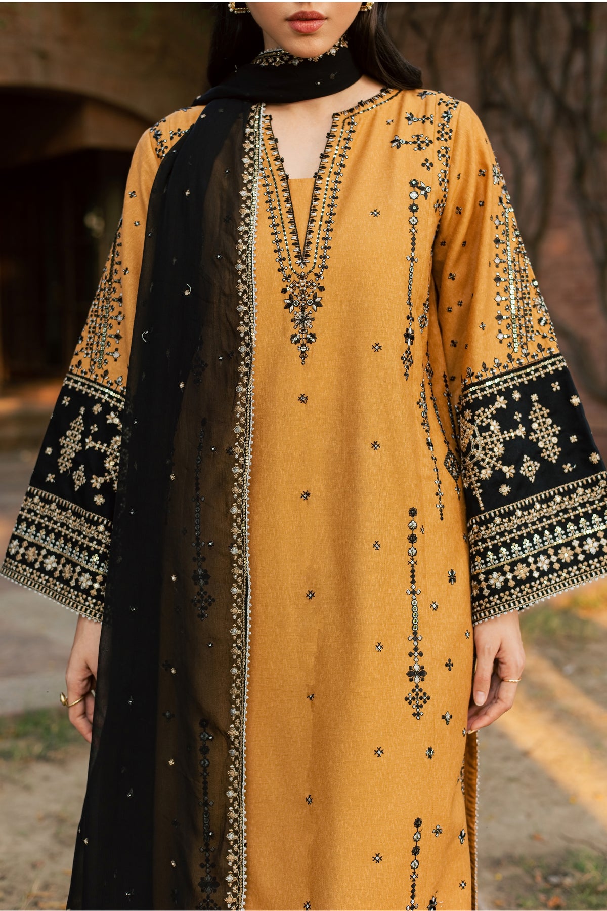 Arzina 3Pc - Embroidered Karandi Pret