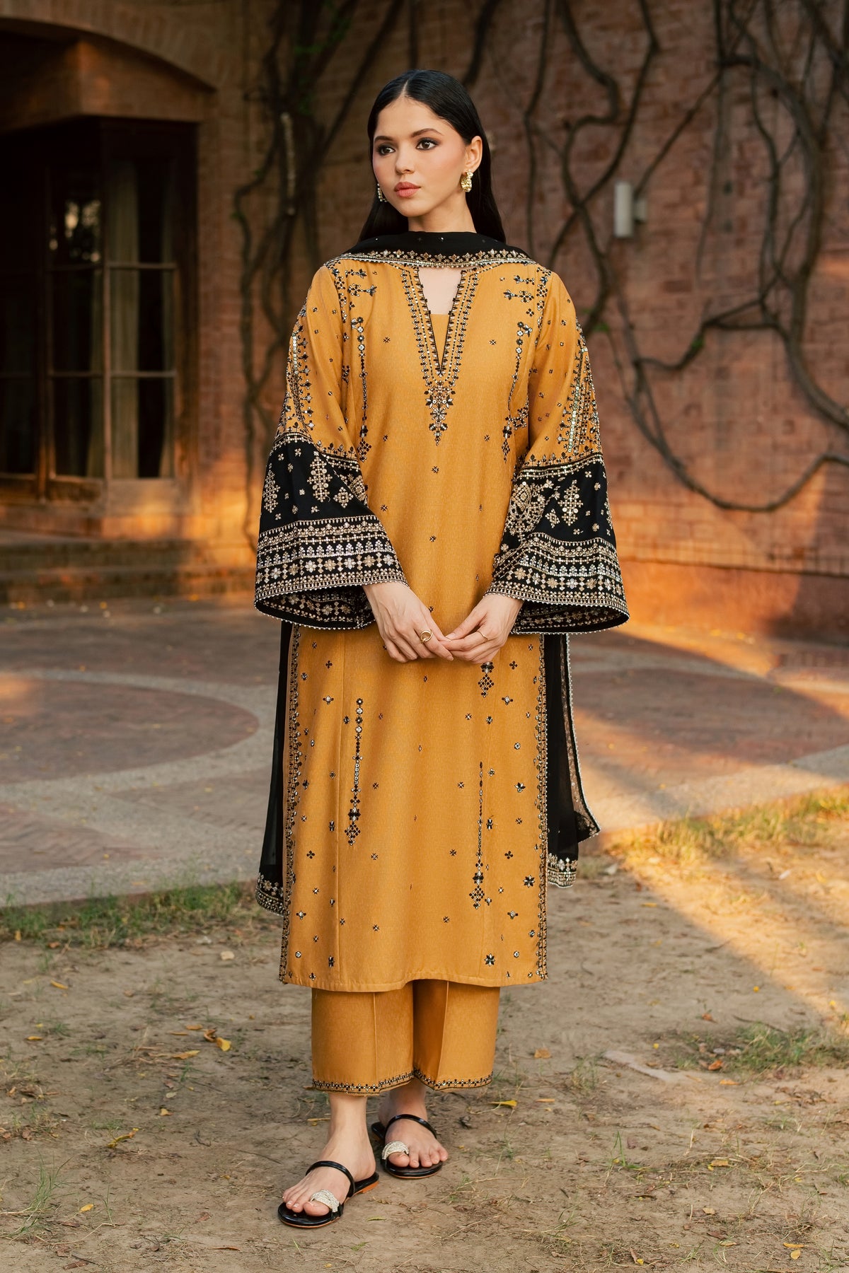 Arzina 3Pc - Embroidered Karandi Pret