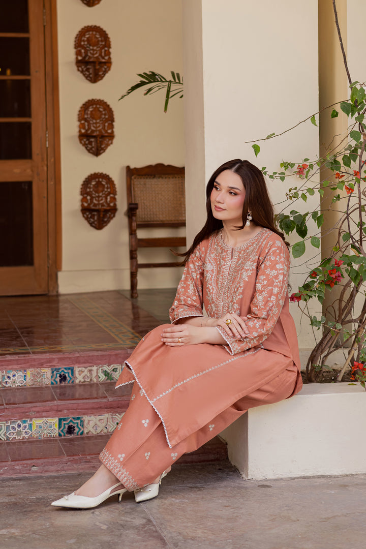 Glossier 2Pc - Embroidered Khaddar Dress