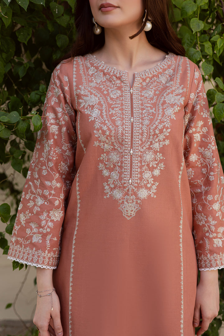 Glossier 2Pc - Embroidered Khaddar Dress