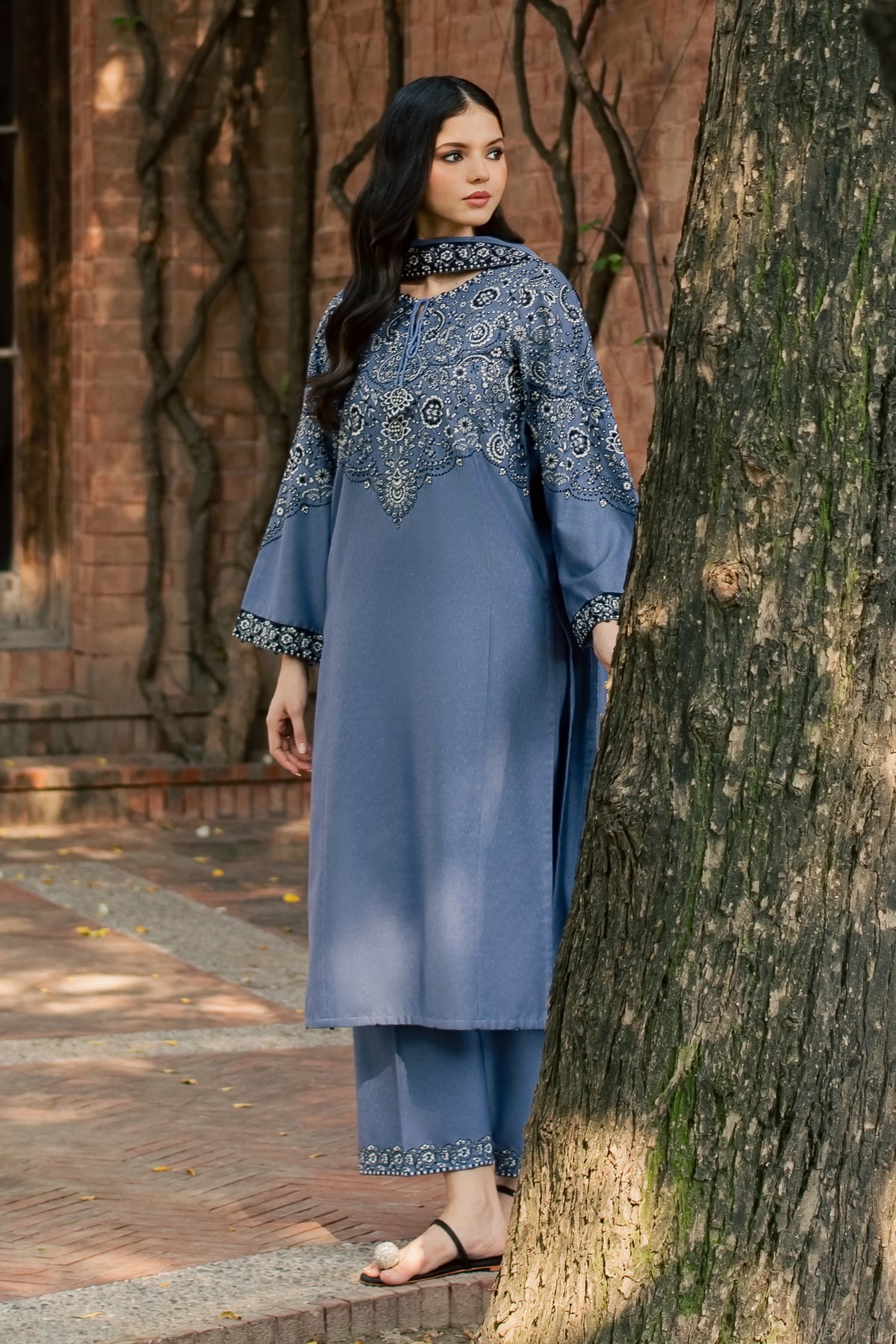 Sozni 3Pc - Embroidered Karandi Pret